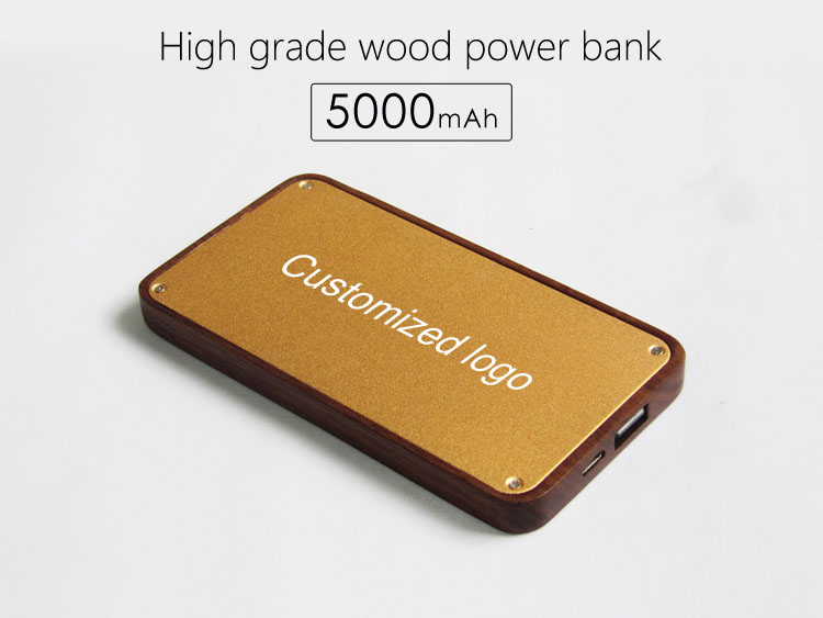 5000mAh power bank